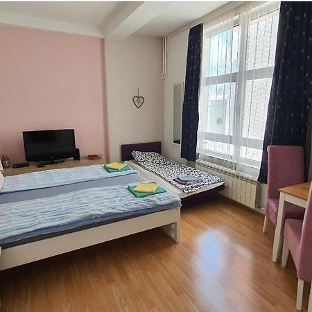 Studio Apartman Ld U Strogom Centru Újvidék Kültér fotó