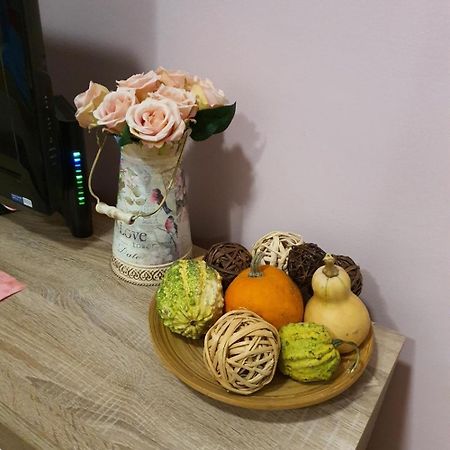 Studio Apartman Ld U Strogom Centru Újvidék Kültér fotó